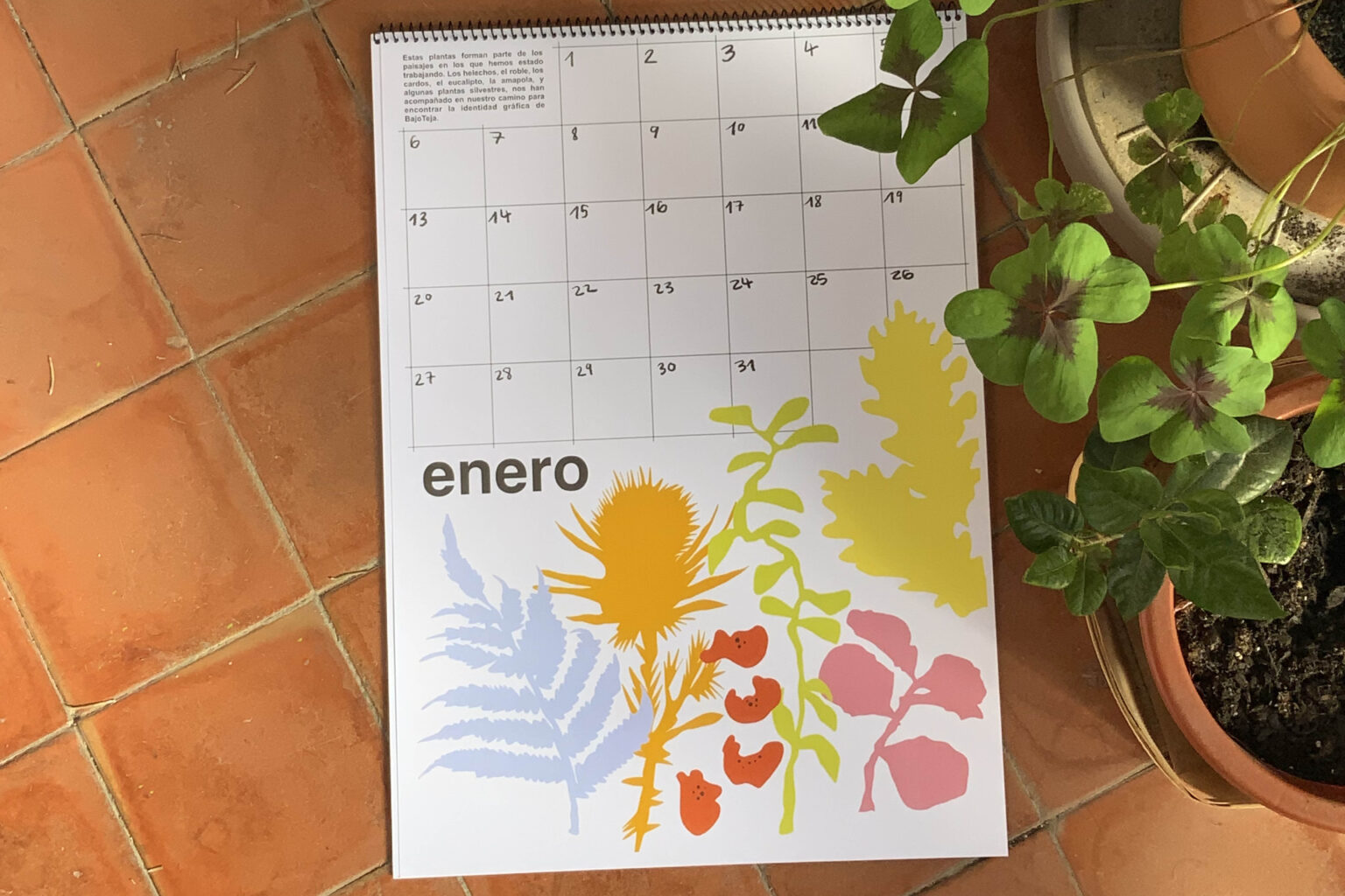 Calendario enero2